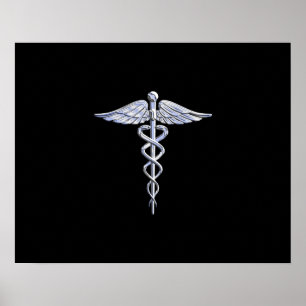 Silver Like Caduceus Medical Symbol on Black Decor