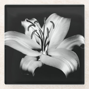 Silver Lily: Monochrome Floral Elegance. Glass Coaster