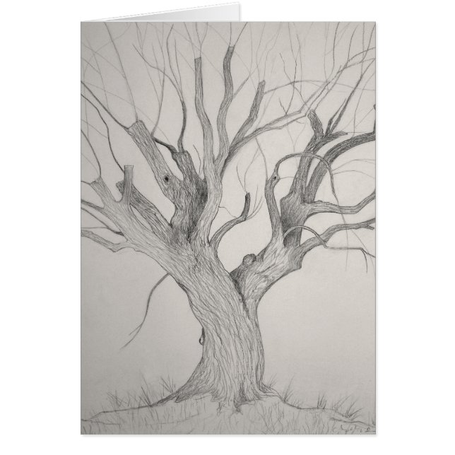 Silver Maple Card (Front)