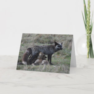 Silver Mother Fox Nursing Baby Kits Frameable Art  Holiday Card