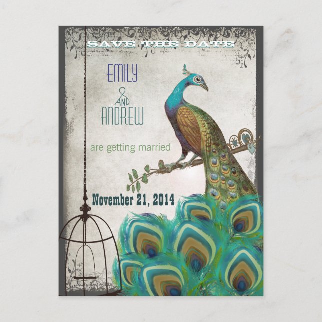Silver Peacock Feathers Birdcage Save the Date Announcement Postcard (Front)