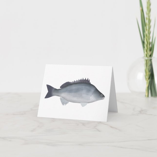 Silver Perch Note Card (Front)