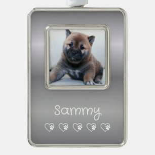 Silver Pet Photo Ornament - Vertical Frame, Christ