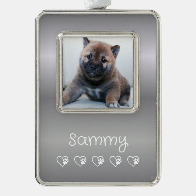 Silver Pet Photo Ornament - Vertical Frame, Christ (Front)