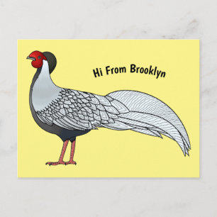 Silver pheasant bird cartoon illustration postcard
