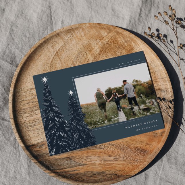 Silver Pine | Elegant Christmas Photo (Creator Uploaded)