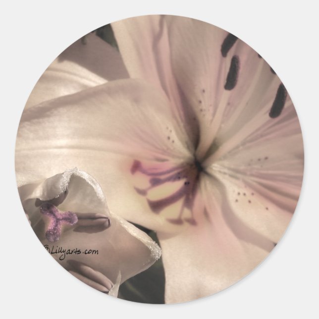 Silver Pink Lilly Wedding Invitation Seals (Front)