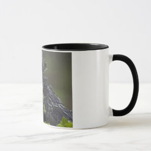 Silver Polish Rooster Mug