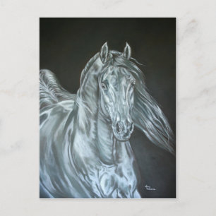 Silver Postcard