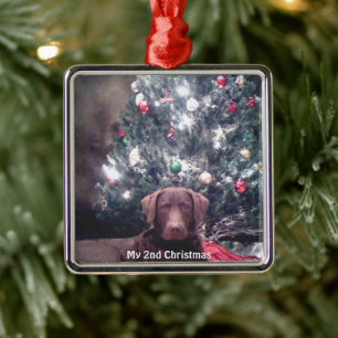 Silver Puppy My 2nd Christmas Photo Ornaments