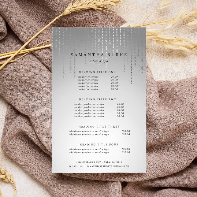 Silver Rain Pricing & Services Flyer (Creator Uploaded)