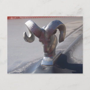 Silver Ram Postcard