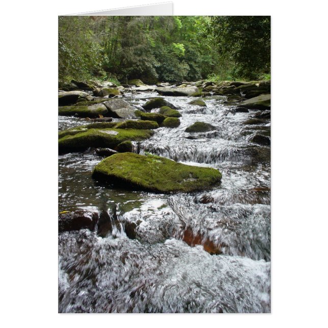 Silver Rapids (Front)