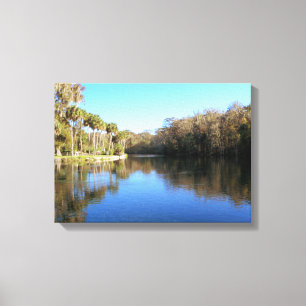 Silver River beauty Canvas Print