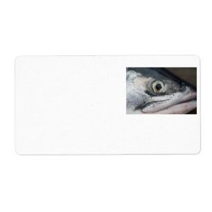 Silver Salmon Face