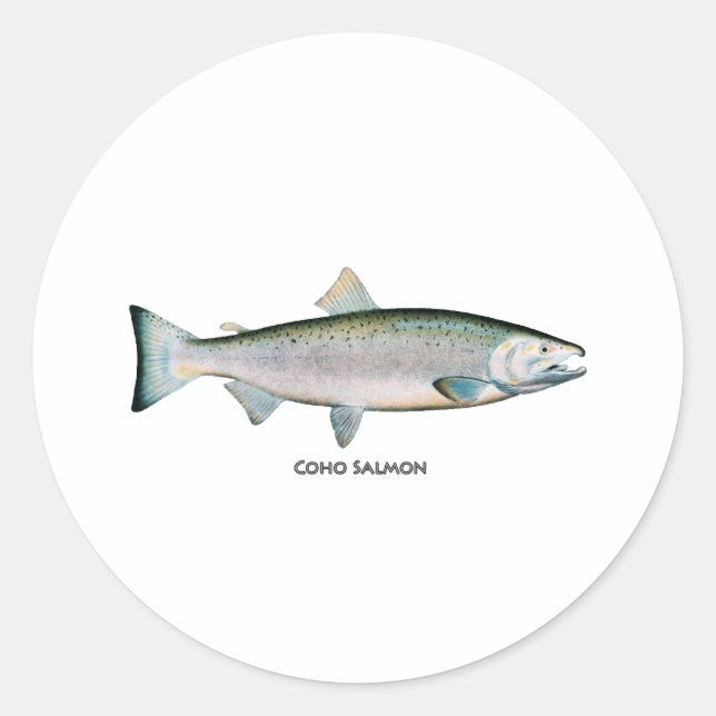 Silver Salmon (ocean phase) Classic Round Sticker (Front)