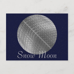Silver Snow Moon Postcard