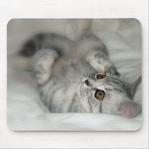 Silver spotted kitten mousepad