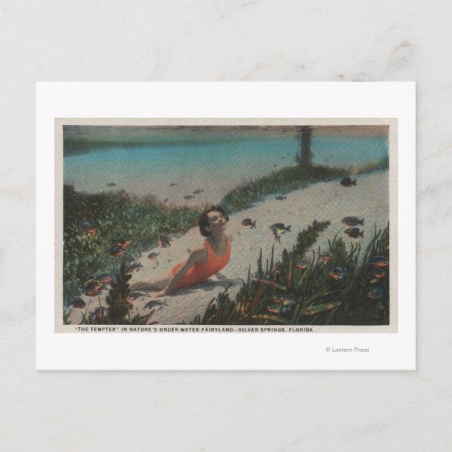 Silver Springs, FL - Woman Swimming Underwater Postcard (Front)