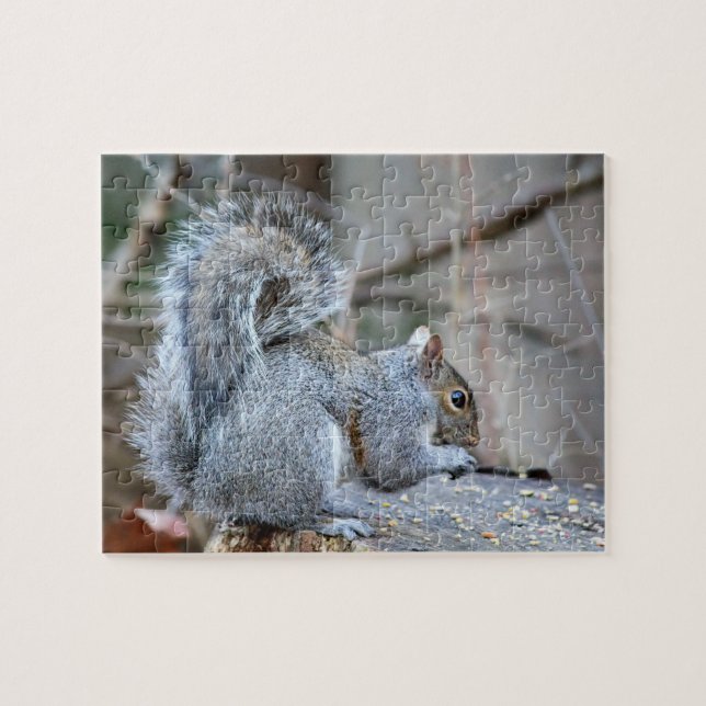 Silver Squirrel Jigsaw Puzzle (Horizontal)