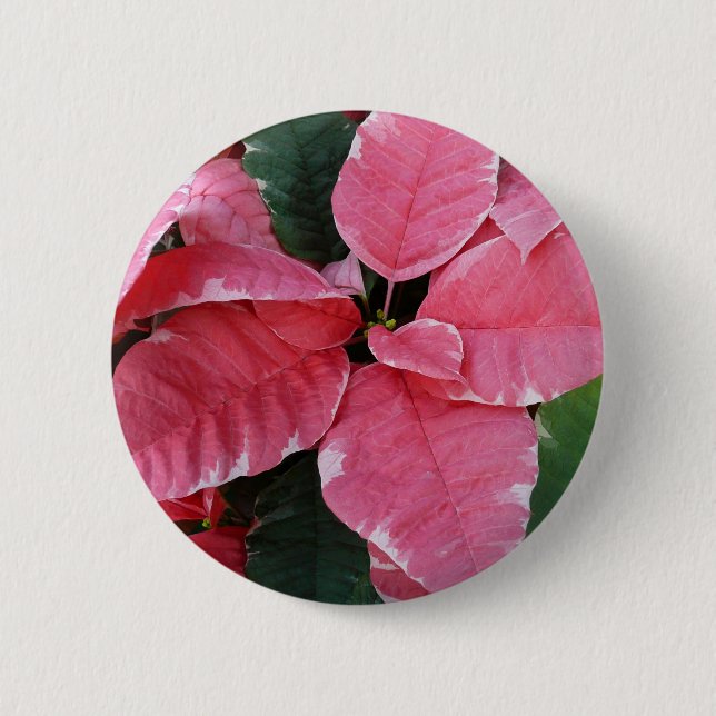 Silver Star Marble Poinsettias Pink Holiday Floral 6 Cm Round Badge (Front)