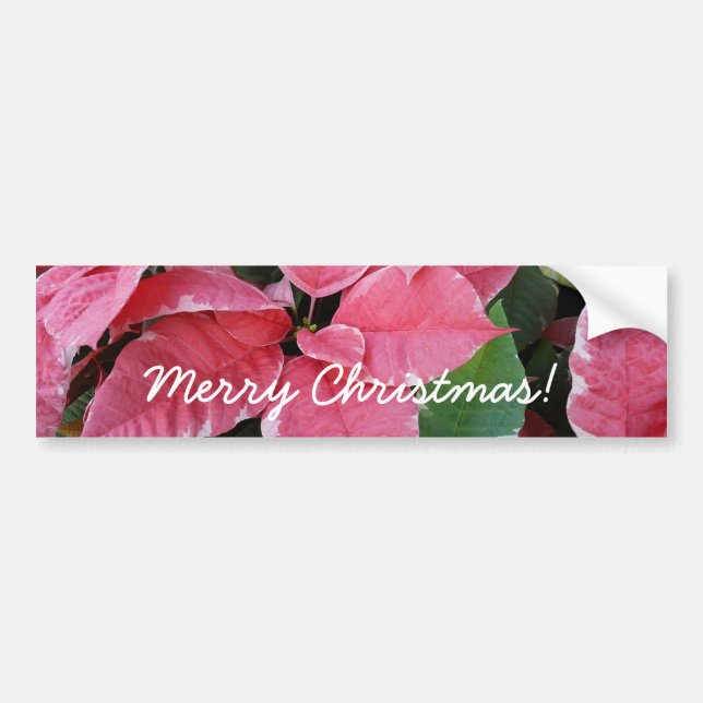 Silver Star Marble Poinsettias Pink Holiday Floral Bumper Sticker (Front)