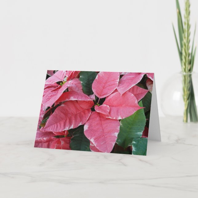 Silver Star Marble Poinsettias Pink Holiday Floral Card (Front)