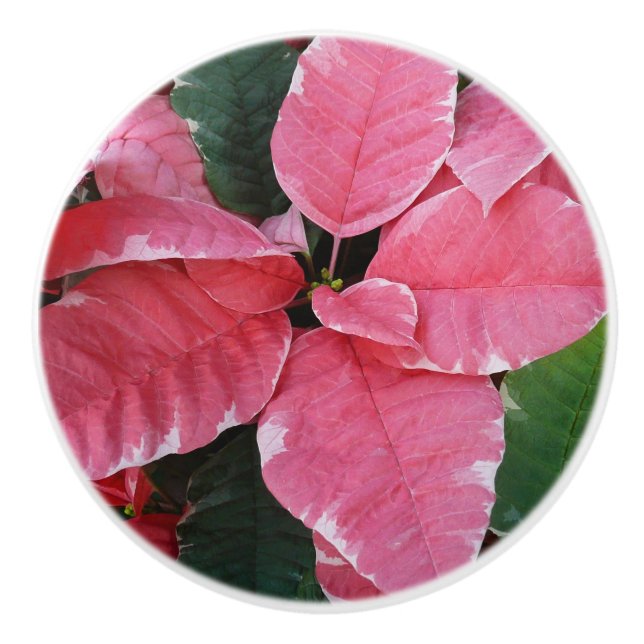 Silver Star Marble Poinsettias Pink Holiday Floral Ceramic Knob (Front)