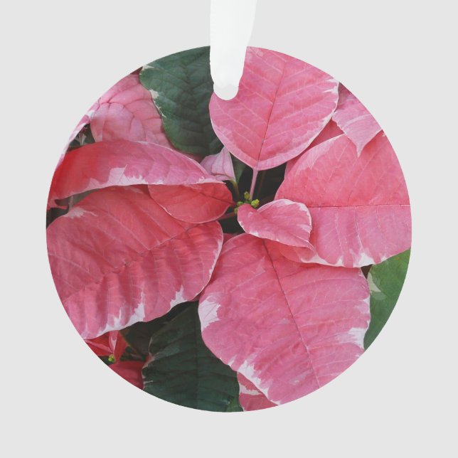 Silver Star Marble Poinsettias Pink Holiday Floral Ornament (Front)