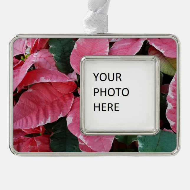 Silver Star Marble Poinsettias Pink Holiday Floral Silver Plated Framed Ornament (Front)