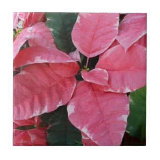 Silver Star Marble Poinsettias Pink Holiday Floral Tile