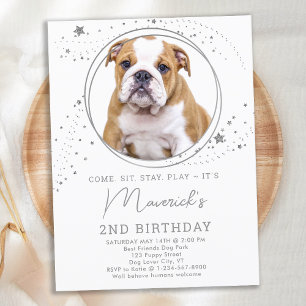 Silver Stars Dog Birthday Personalised Pet Photo Invitation Postcard