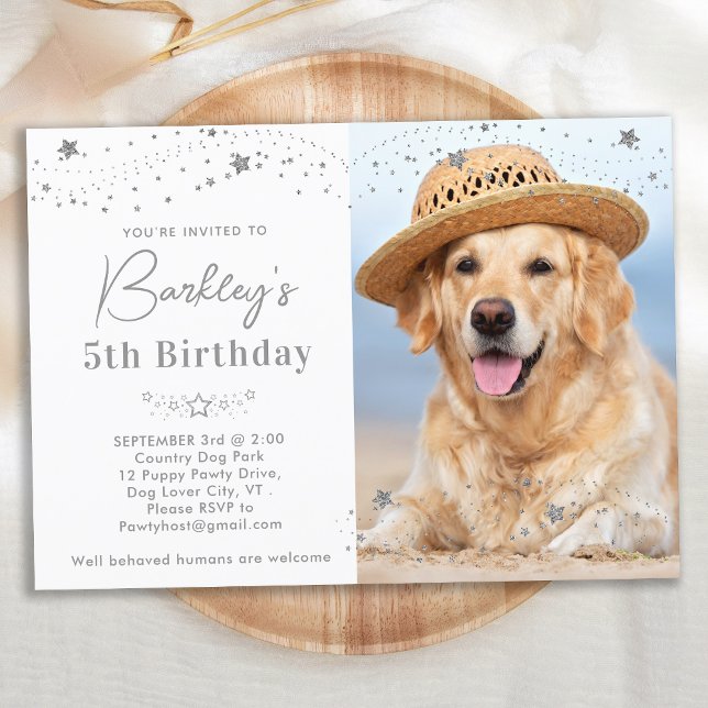 Silver Stars Personalised Pet Photo Dog Birthday  Invitation (Creator Uploaded)