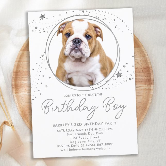 Silver Stars Personalised Pet Photo Dog Birthday Invitation (Creator Uploaded)