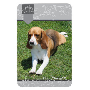 Silver Tab & Flourish Merry Christmas Magnet