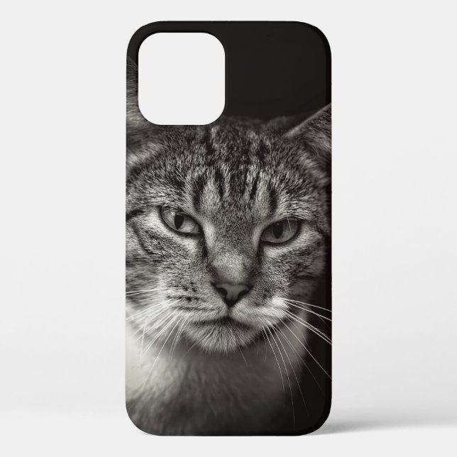 SILVER TABBY CAT Case-Mate iPhone CASE (Back)