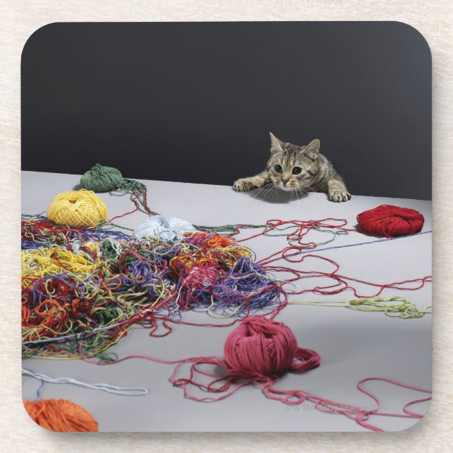 Silver tabby cat climbing over edge of table coaster (Front)
