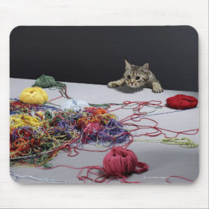 Silver tabby cat climbing over edge of table mouse pad