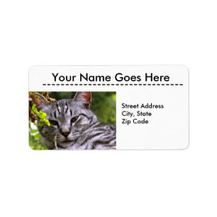 Silver Tabby Cat Head Address Labels