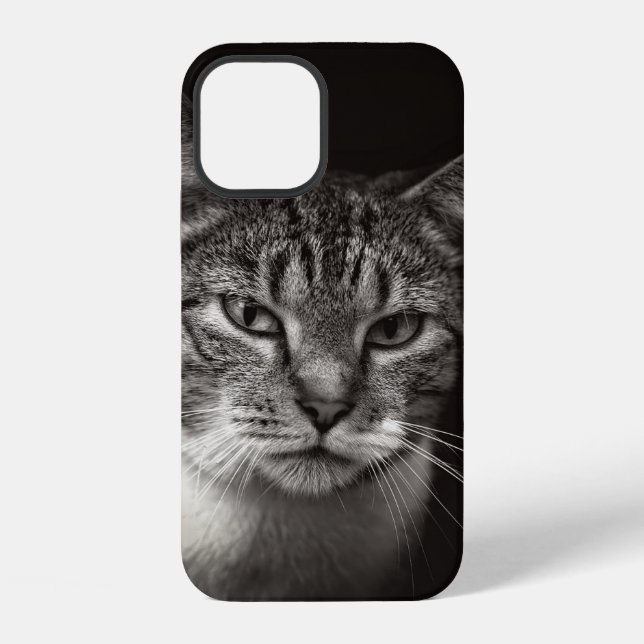 SILVER TABBY CAT iPhone CASE (Back)