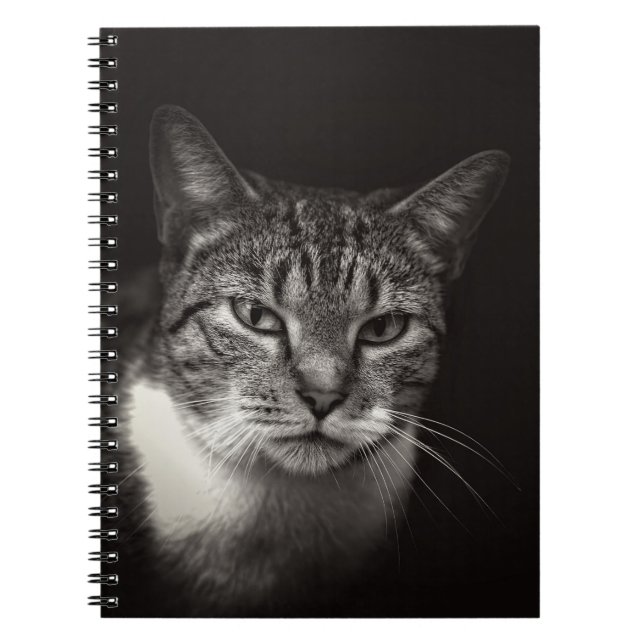 SILVER TABBY CAT NOTEBOOK (Front)