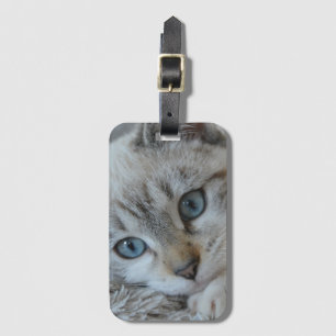 Silver Tabby Siamese Luggage Tag