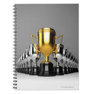 Silver Trophys 3 Notebook