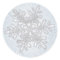 Silver white snowflake Wedding Christmas