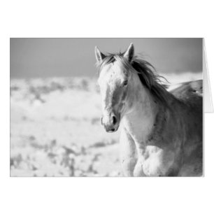 SILVER WILD HORSE OF UTAH