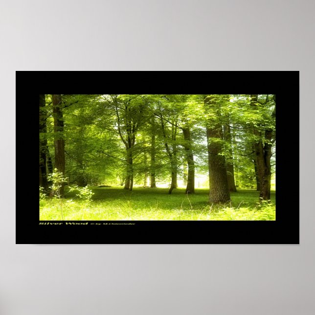 Silver Wood Poster (Front)