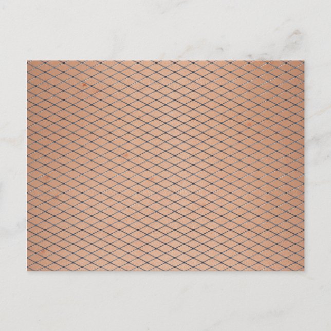 Silver Woven Fishnets With Skin Texture Postcard (Front)