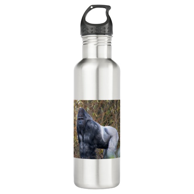 Silverback 710 Ml Water Bottle (Front)