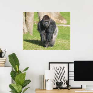 Silverback Gorilla – A Moment of Power Poster