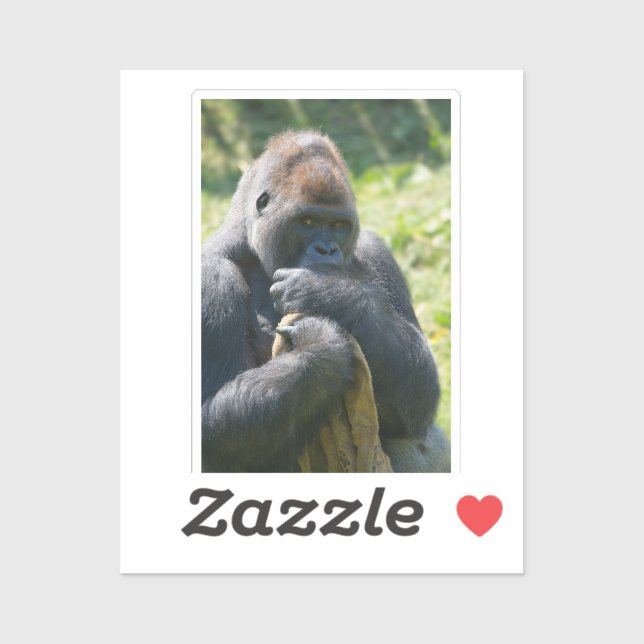 Silverback Gorilla And His Blanket (Sheet)